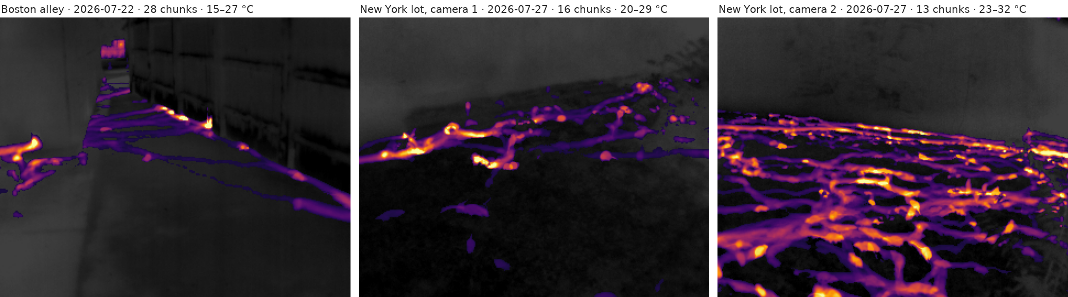 Three session occupancy maps: the accumulated path of warm, moving pixels drawn over the median thermal image, for the Boston alley and for two cameras on the New York lot.